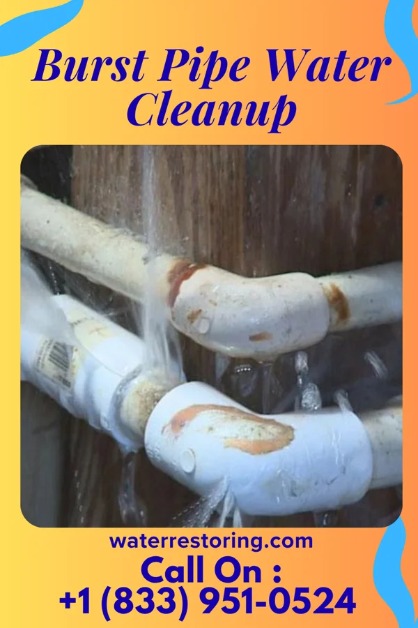 Burst Pipe Water Cleanup in Edgewater, AL